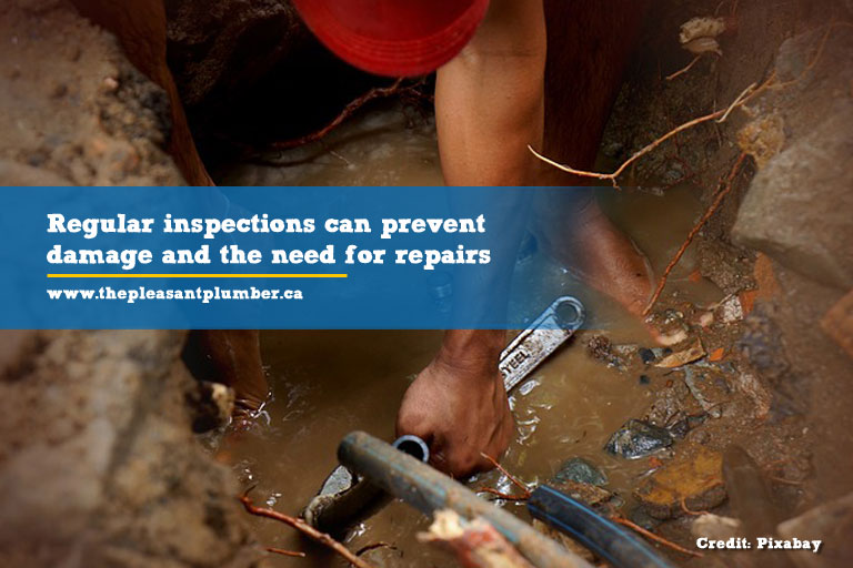 Regular inspections can prevent damage and the need for repairs